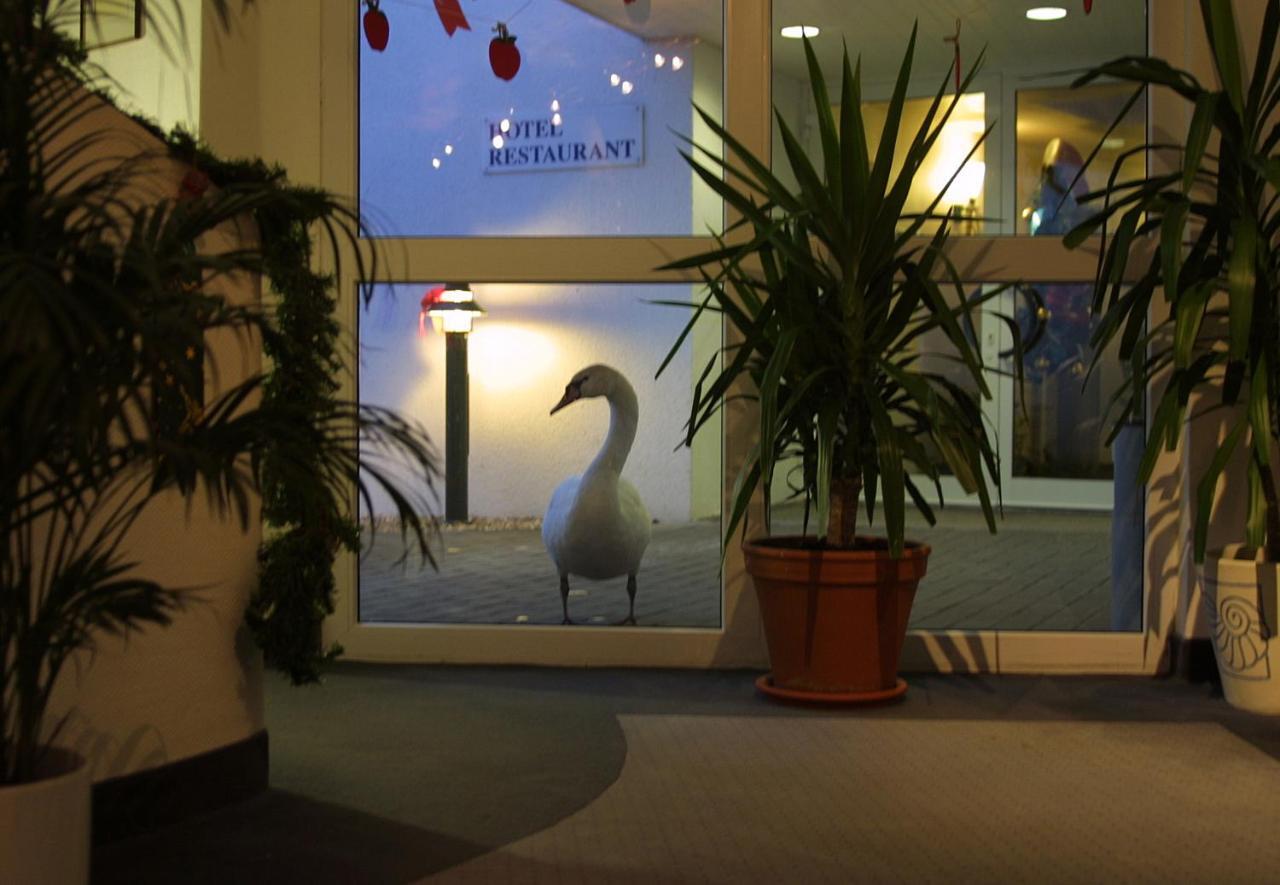 Seehotel Luisenhof Falkenhagen  Exteriör bild